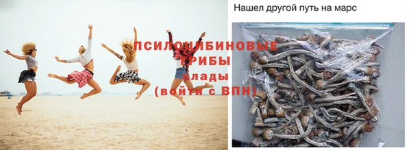 каннабис Новодвинск