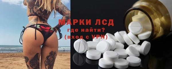 амф Новозыбков