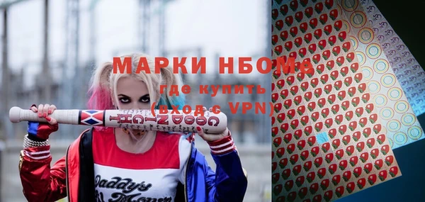 амф Новозыбков