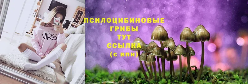 Галлюциногенные грибы Magic Shrooms  даркнет сайт  площадка состав  Сорск 