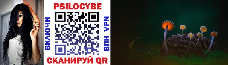 Галлюциногенные грибы Cubensis  купить  сайты  Сорск 